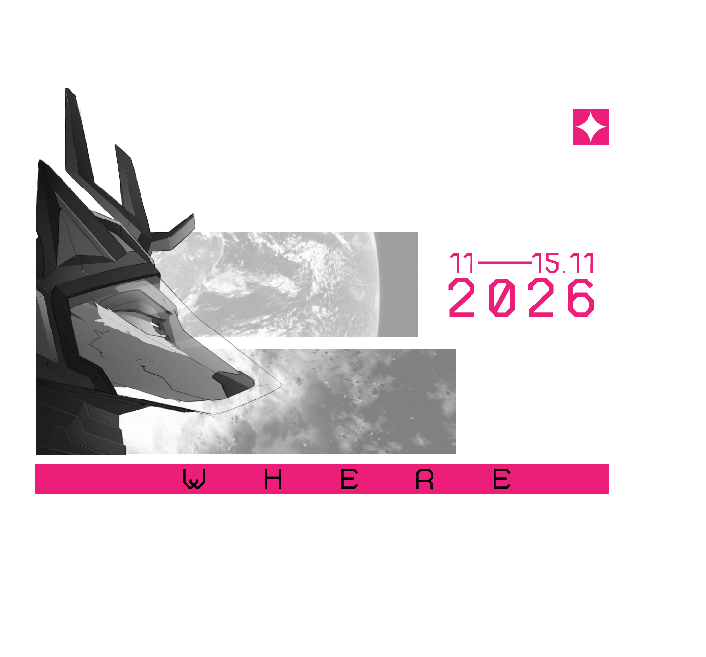 futrolajki